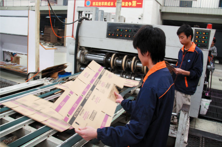Double Paper image