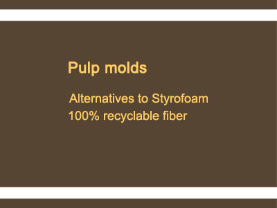 paper pulp moulds.jpg
